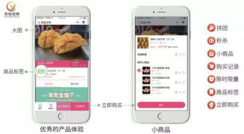 水產行業協會如何利用社區團購系統與互聯網信息服務提升會員商家銷量